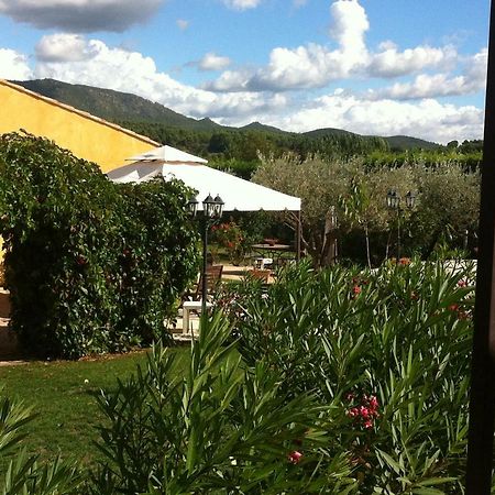 Les Cigales Des Pres Appartement Aups Buitenkant foto